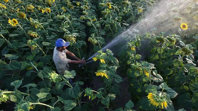 Decision granting TPAO urgent expropriation authority in Thrace under debate