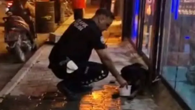 Suspect detained in Hatay for wounding stray dog with shotgun
