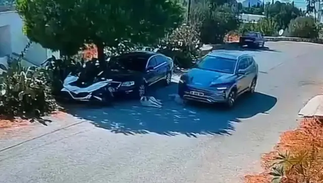 Investigation launched into driver who ran over two dogs and fled in Bodrum
