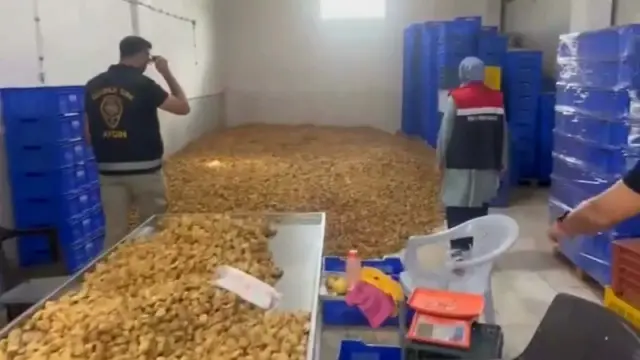 25 tons of unlabeled dried figs seized in Aydın