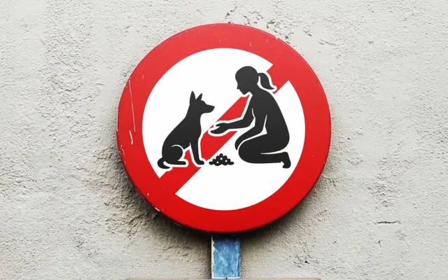 Court annuls ban on feeding stray animals in Ankara